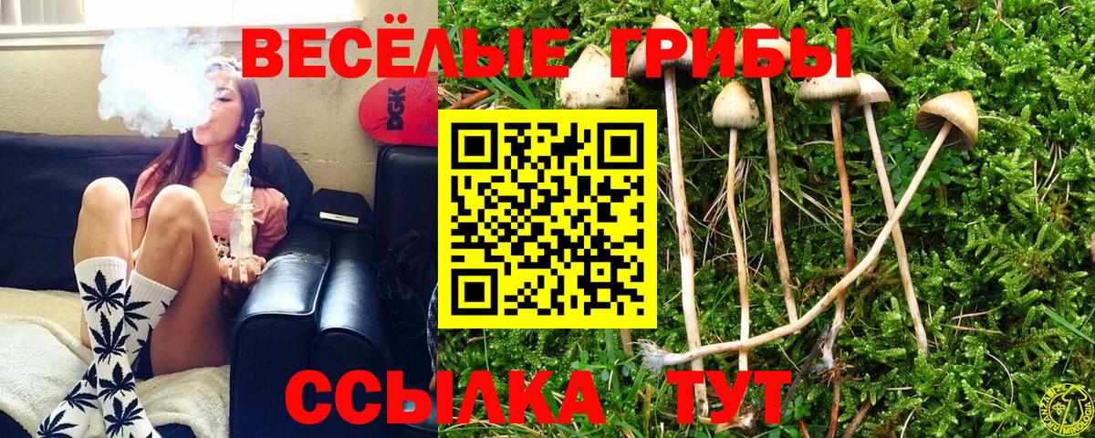 Галлюциногенные грибы Magic Shrooms Радужный